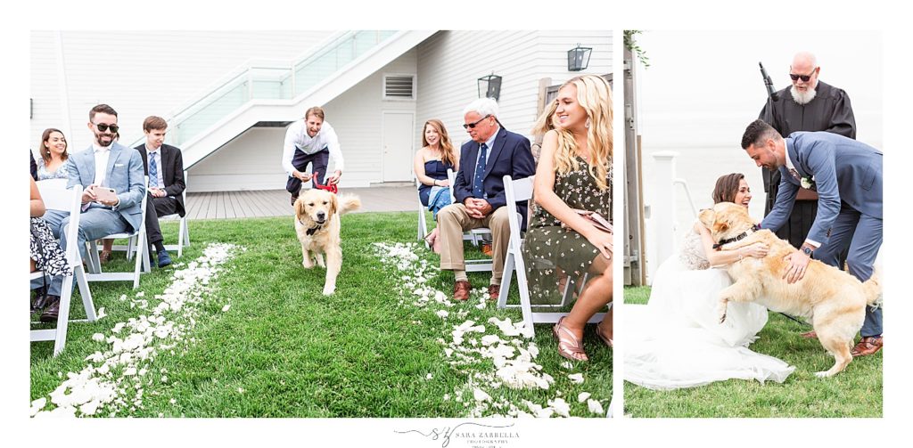 dog comes down the aisle to greet RI wedding photographed by wedding photographer Sara Zarella Photography