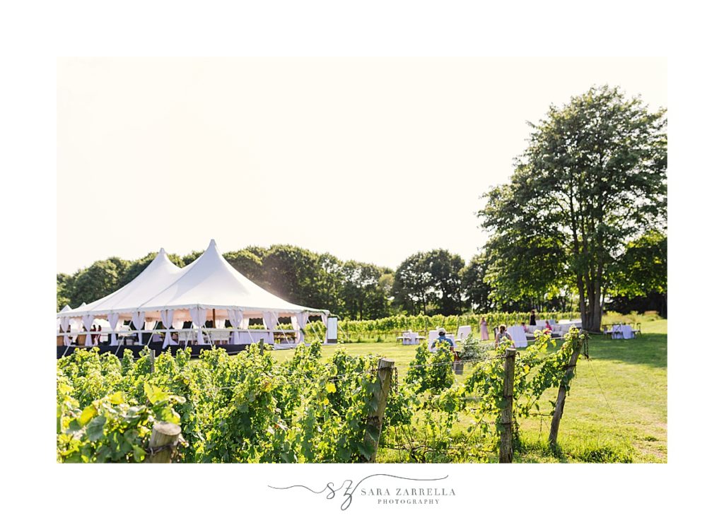 tented wedding reception at Greenvale Vineyards with Sara Zarrella Photography