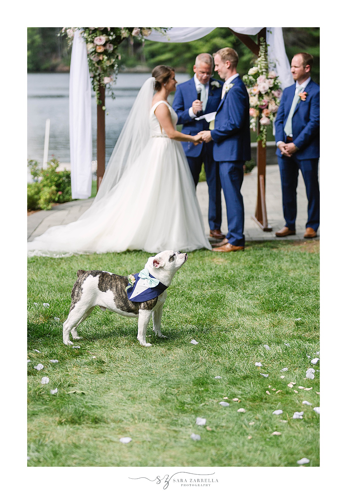 dog watches bride and groom get married in Rhode Island