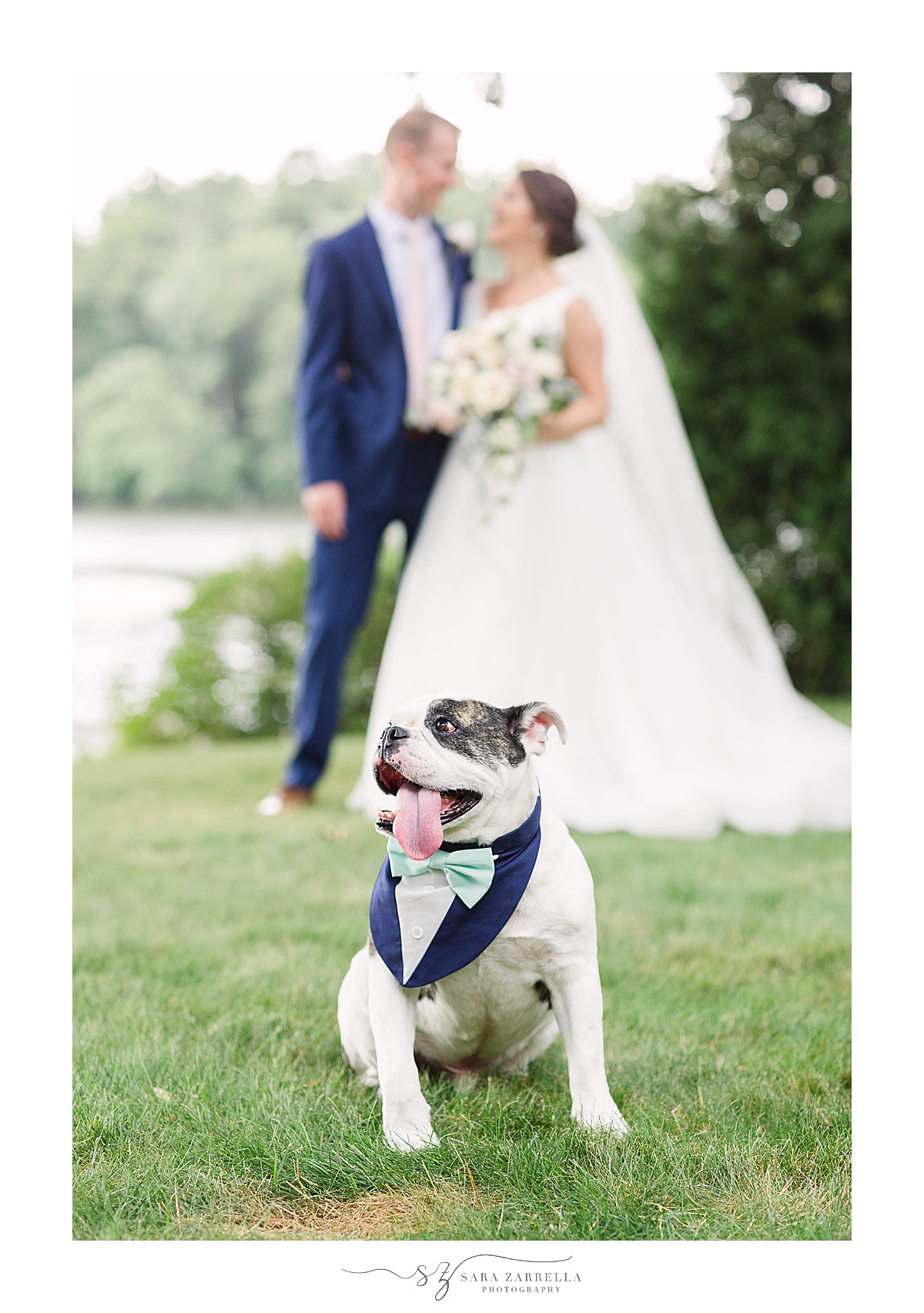 bride and groom pose with dog in Johnston RI