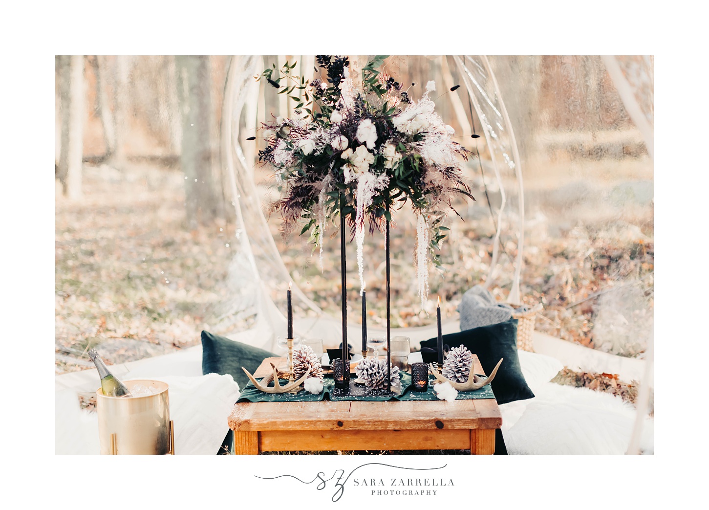 details for Cozy Winter Proposal at Gerald's Farm