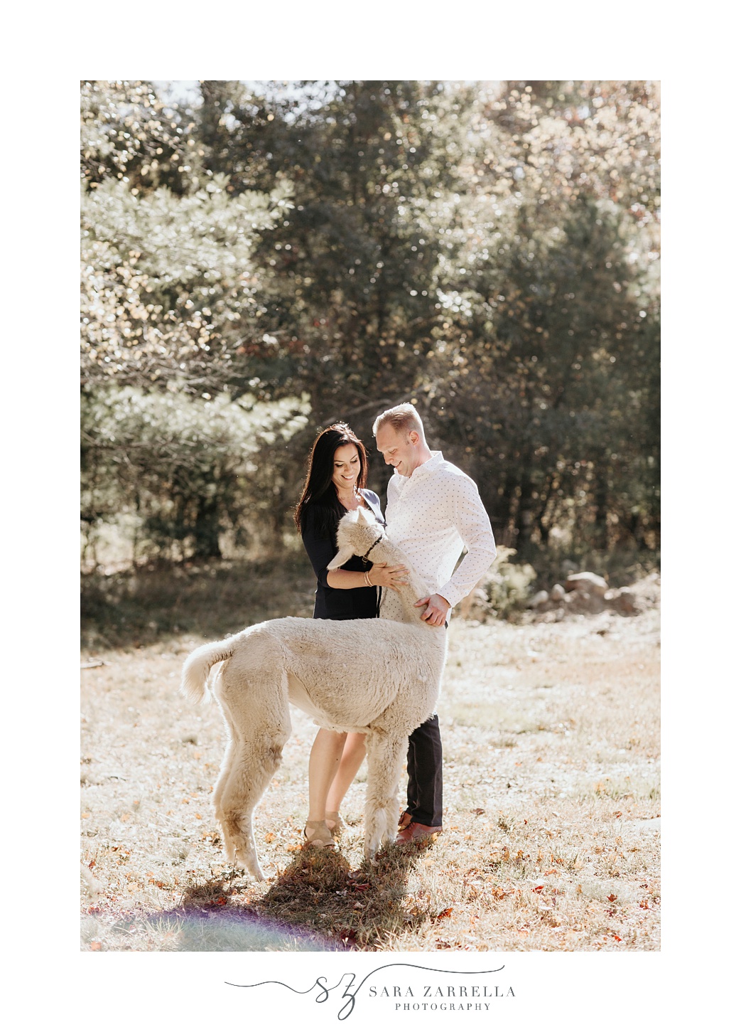 engaged couple pets llama during engagement photos