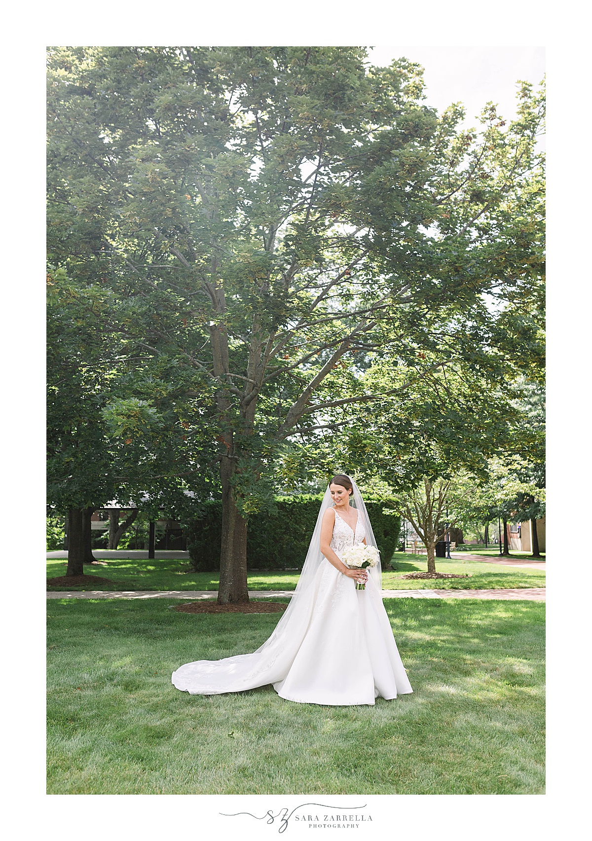bride poses under tree at Providence College