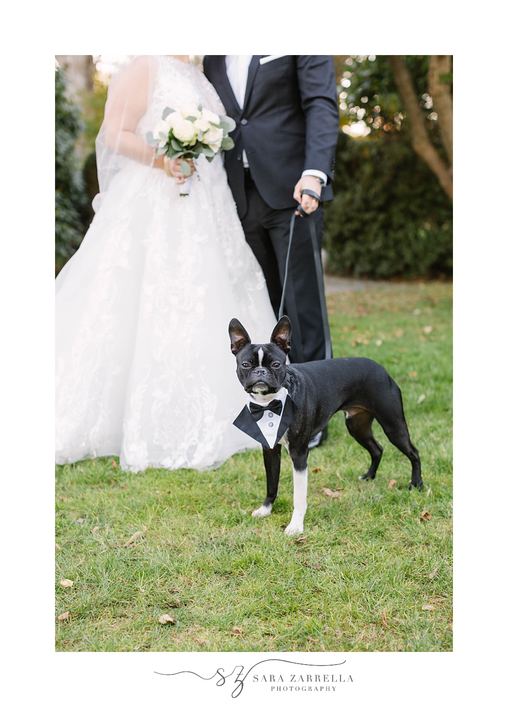 bride and groom pose with dog during fall wedding portraits at Glen Manor House