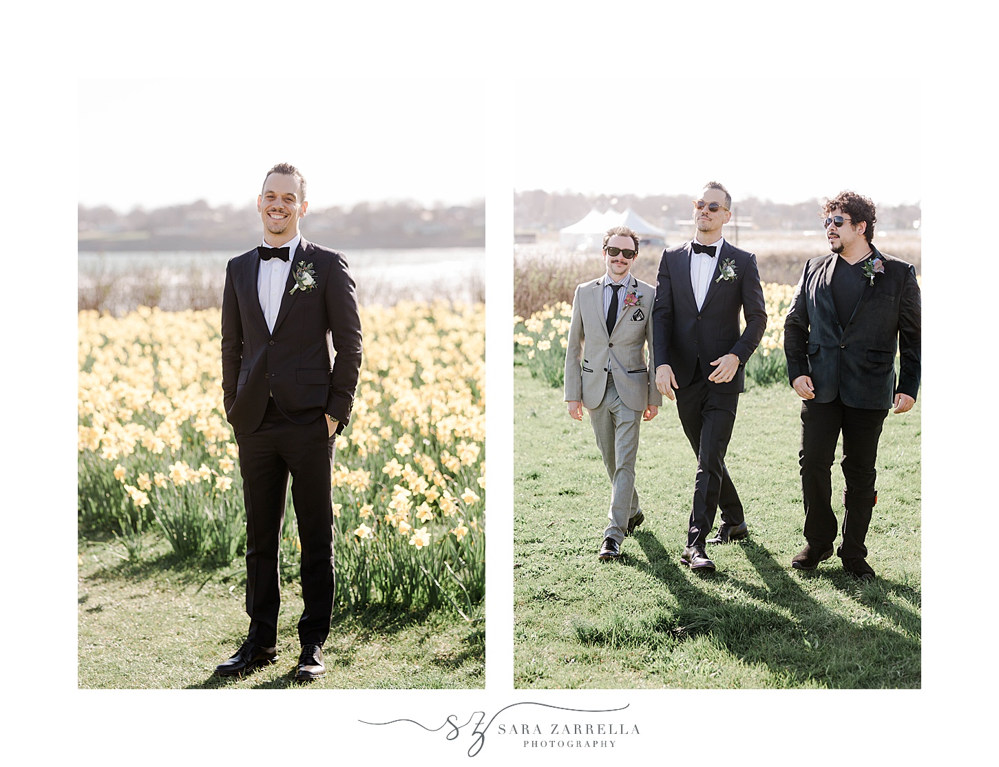 groom and groomsmen walk along daffodil field in Newport RI