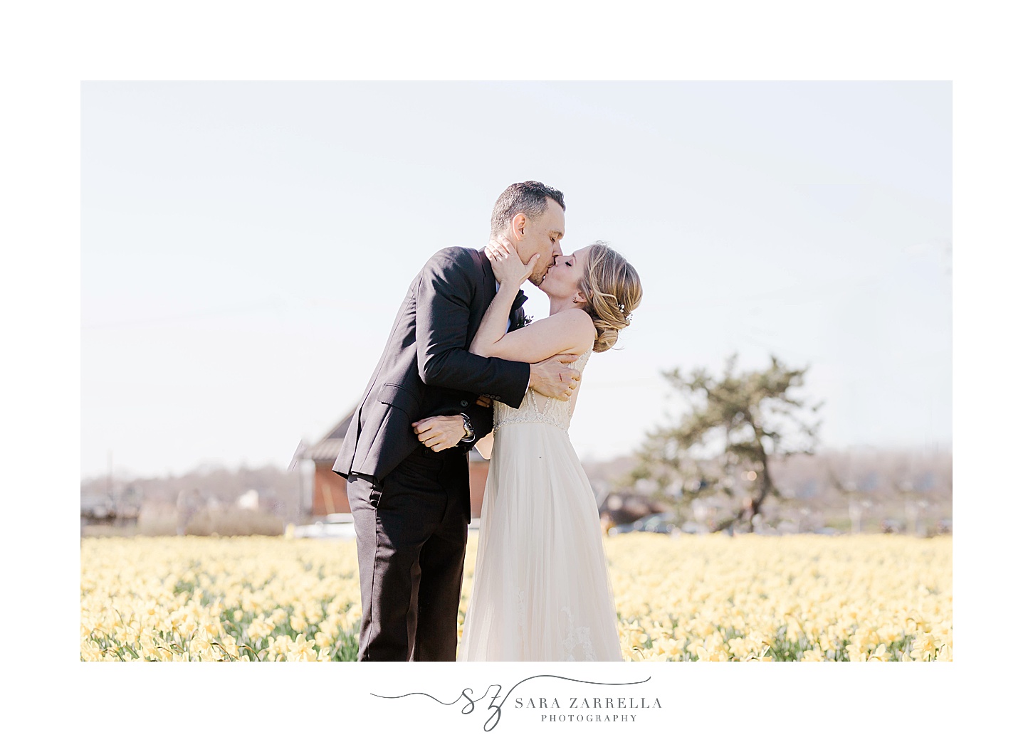 bride and groom kiss on edge of daffodil field 