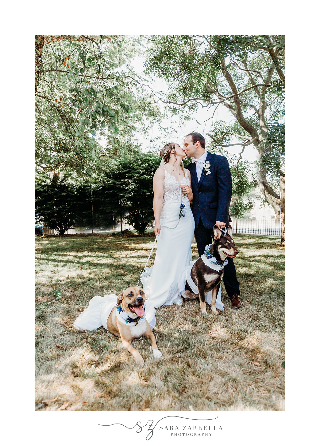 bride and groom kiss with two dogs by their feet in Newport RI