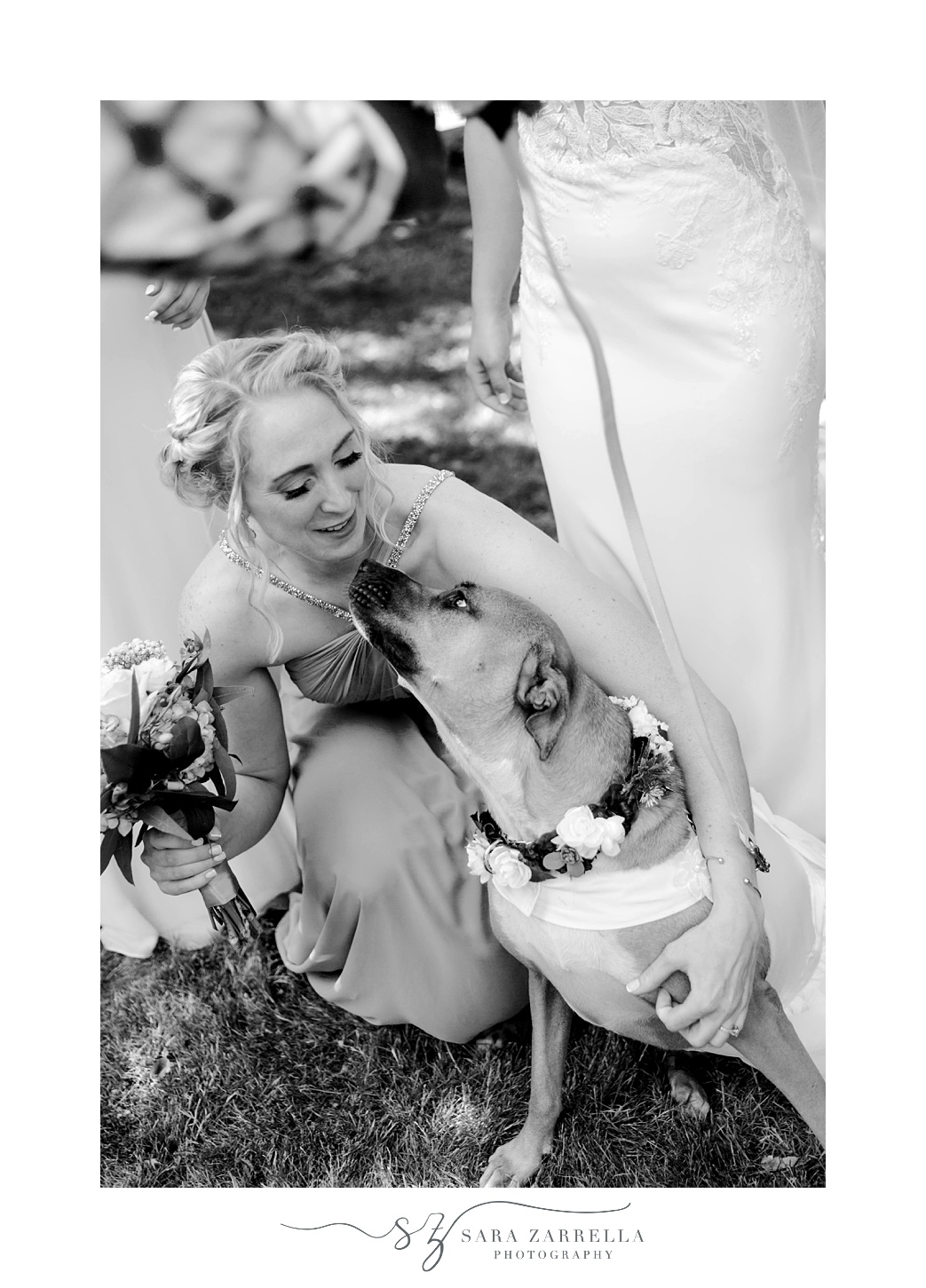 bridesmaids pets dog on wedding day