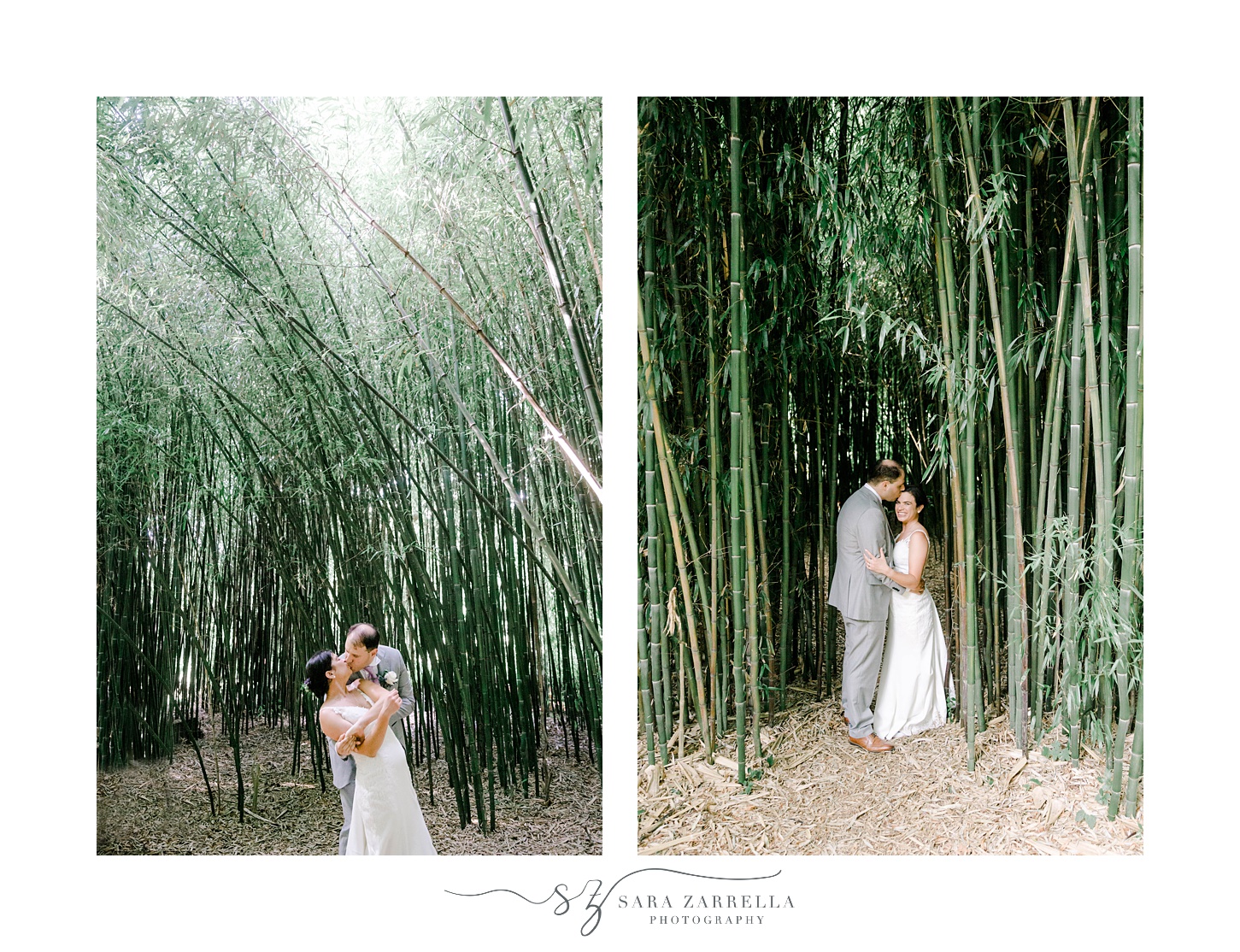 portraits of bride and groom in bamboo outside Jewish wedding ceremony at Blithewold Mansion