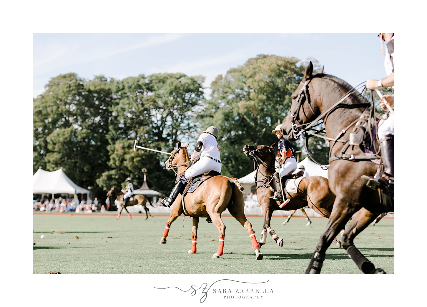Newport Polo match with riders on horses 