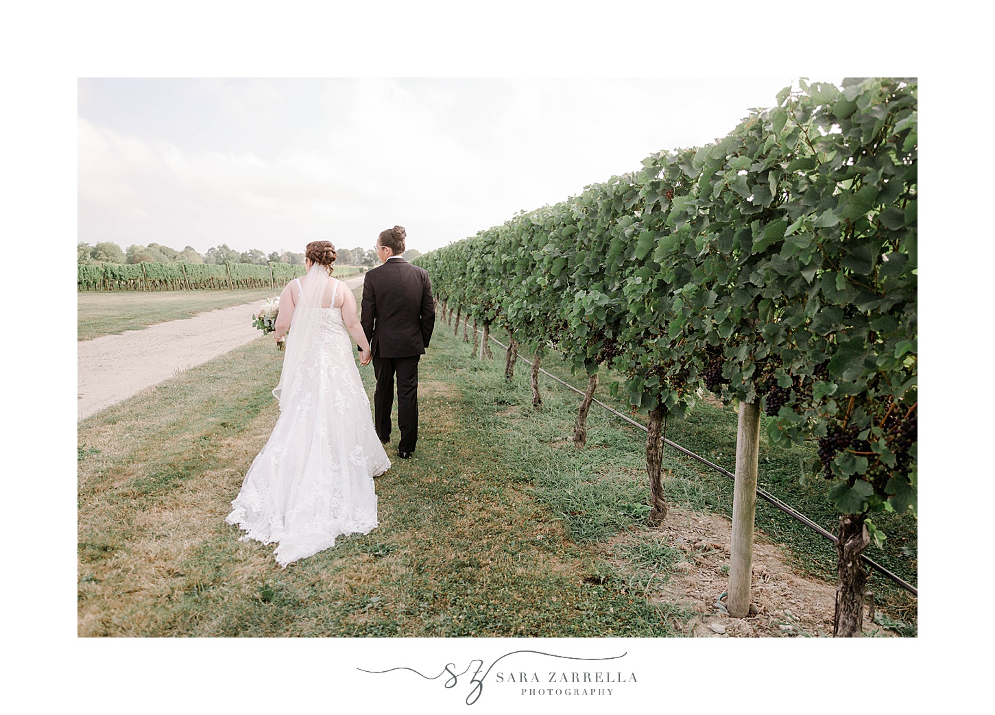 bride and groom walk away from camera by row of vines at Newport Vineyards