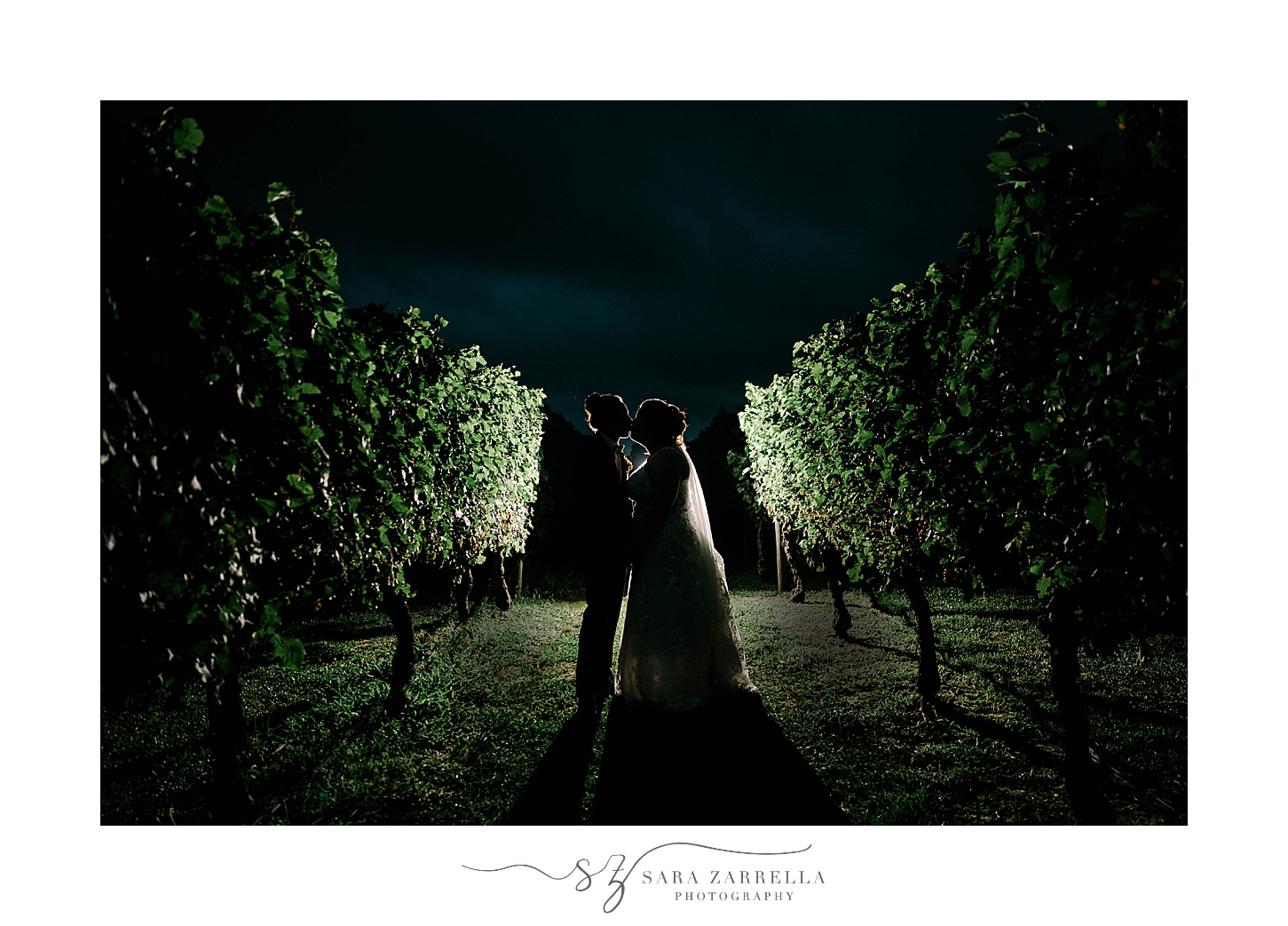 nighttime portrait of bride and groom between vines at Newport Vineyards