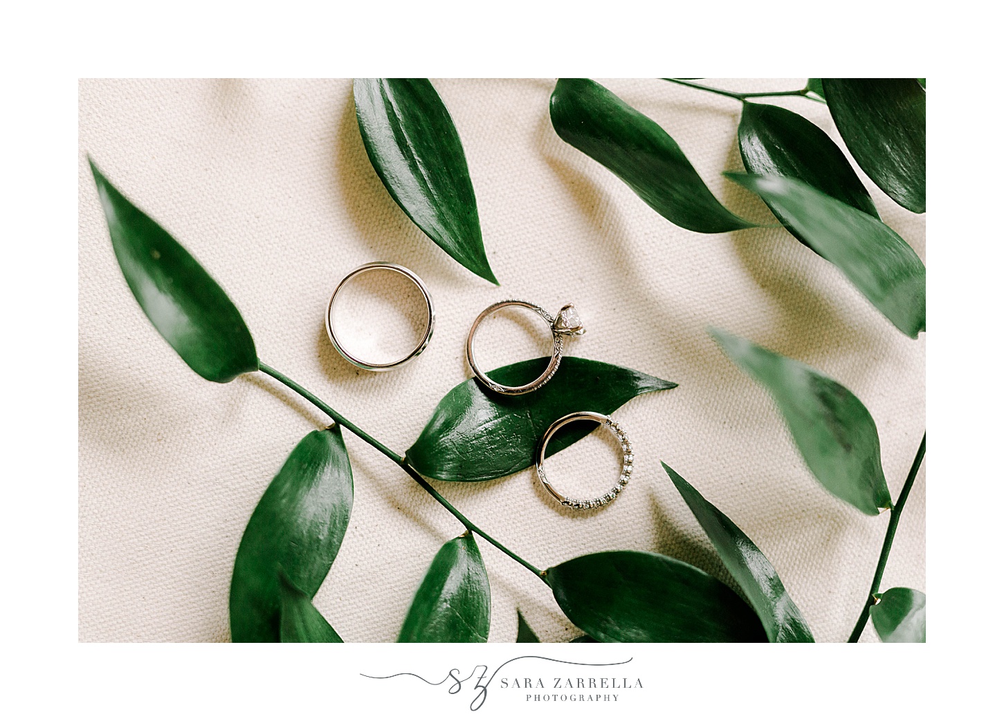 wedding rings on green leaves before Wequassett Resort wedding
