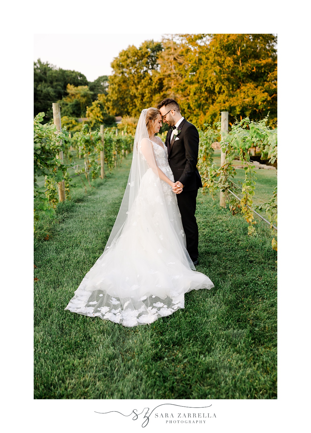 bride and groom hug leaning heads together in vineyard at Shepard's Run