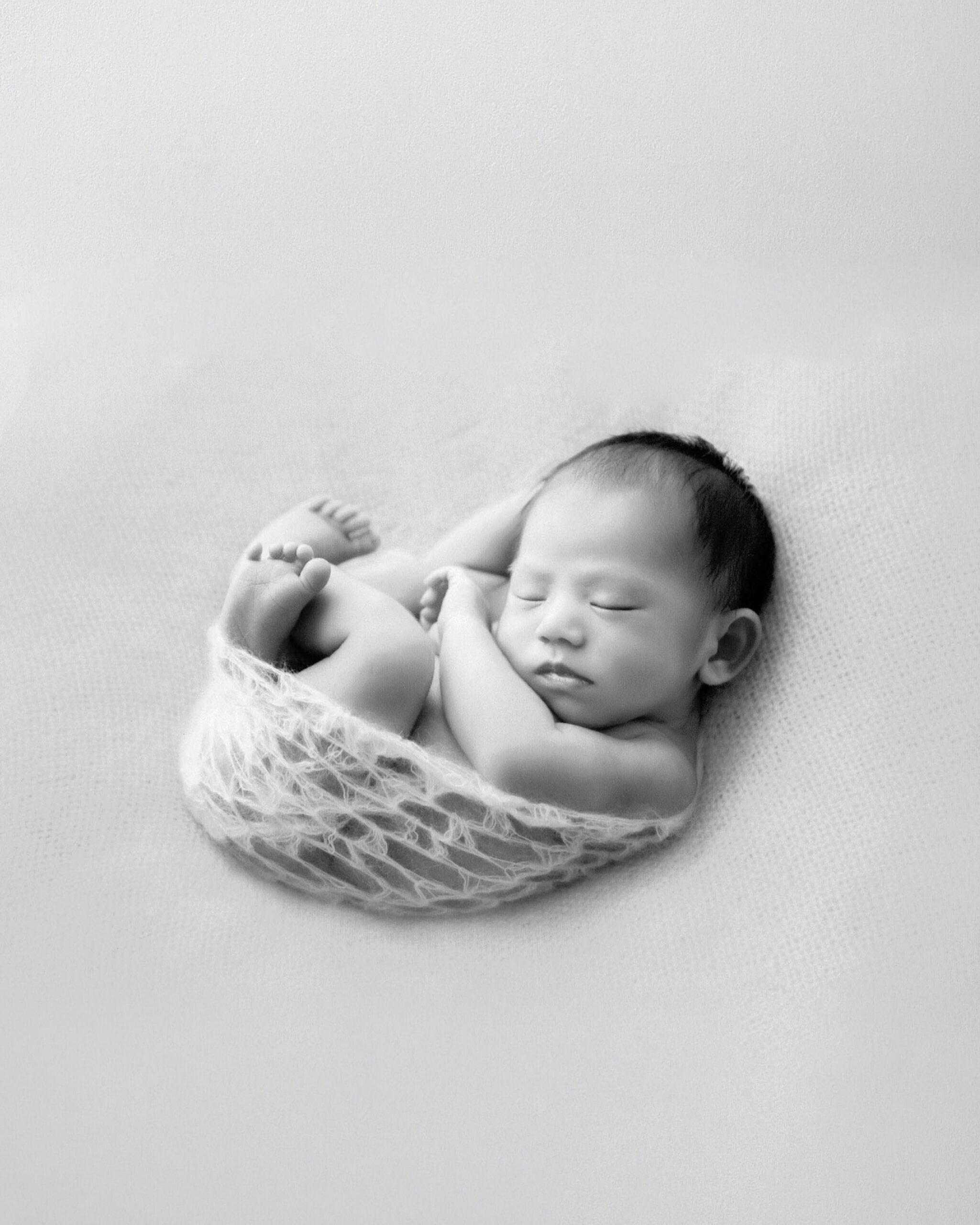 Newborn Photography in Studio Rhode Island
