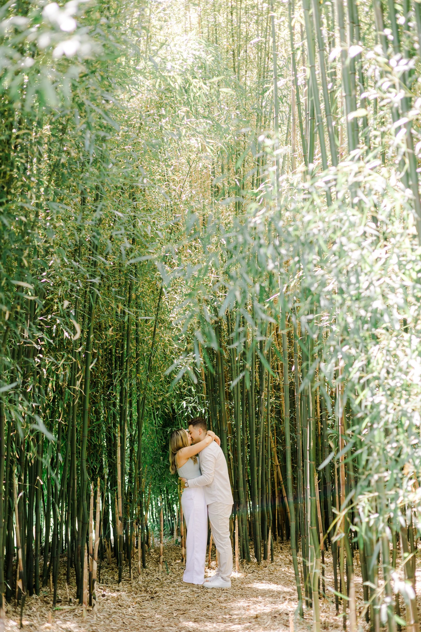 Engagement Photos of Couple in Botanical Gardens at Roger Williams Park